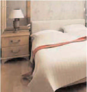 Furnishing Style